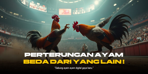 Rahasia Taruhan Sabung Ayam SV388: Jenis Ayam, Odds, dan Strategi Menang