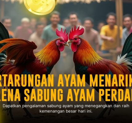 Kenali Jenis Ayam Bangkok dalam Sabung Ayam SV388 yang Menguntungkan