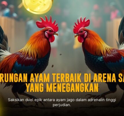 Mengenal Jenis-jenis Ayam Aduan SV388 yang Paling Populer