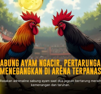 Mengenal Jenis Ayam Laga Terbaik di SV388 Sabung Ayam