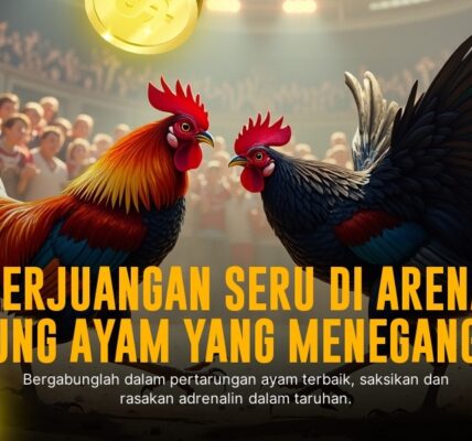 Singles Ayam Birma: Raja Sabung Ayam di SV388