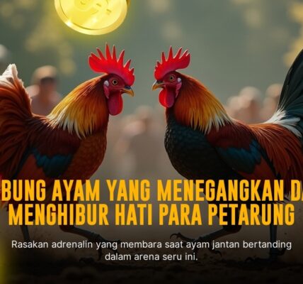 Jenis Ayam Bangkok dalam Dunia Sabung Ayam Online